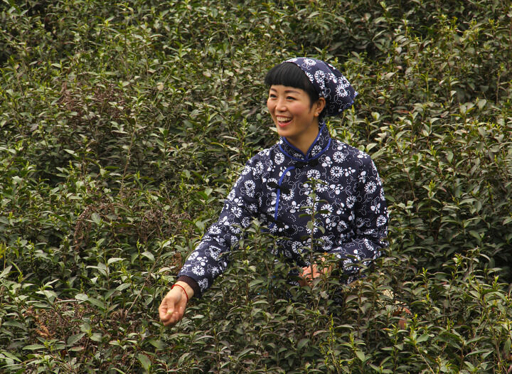 37间房主播跳舞 禁忌之舞